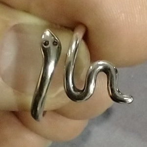 N Silver Snake